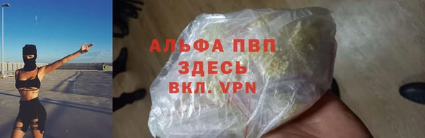 спиды Магас